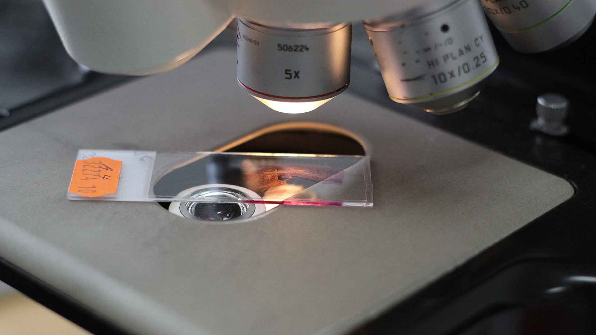 2610 Stellenanzeigen Side Image 1920X1080
